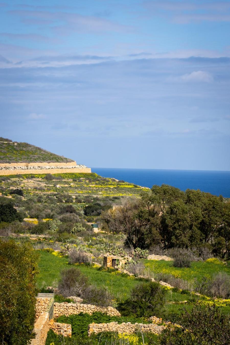 Il Figolla B&B Xagħra エクステリア 写真